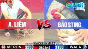 Anh Liêm vs Anh Bảo Sting ngày 09-05-2025