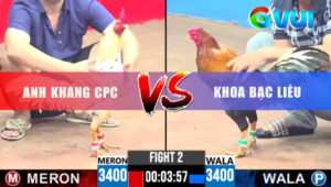 Trận 2 CPC3 25/5/2025 - Điều Đá Đúng 1 Chân 2 Cây Ngực Bướm Ra Đi