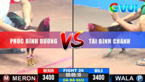 Trận 26 Giải CPC3 31/5/2025 - Phúc Bình Dương Dí Chạy Tài Bình Chánh
