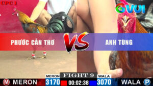Trận 9 CPC1 26/5/2025 - Gà Xanh Anh Tùng Đá 1 Tăng Đỏ Gãy Giò Đi Bụi