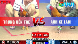 Trận 22 Giải CPC2 1/6/2025 - Gà Khét Né Quá Hay Phản Lại Điều Gãy Chân
