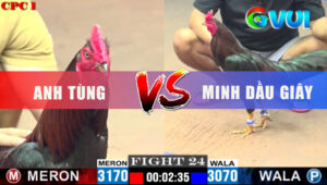 Trận 24 CPC1 3/6/2025 - Điều Đỏ Anh Tùng Đâm Cựa Nghiệt Xanh Lật Xe