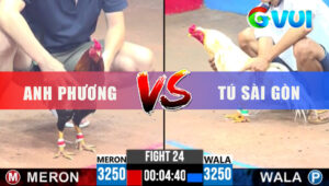 Trận 24 CPC3 3/6/2025 - Điều Đang Hay Thì Bất Ngờ Bỏ Chạy Bay Bồ