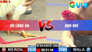 Trận 32 CPC1 3/6/2025 -Gà Xám Quá Trâu Gồng Tang Đến Cuối Hòa Lại Tang
