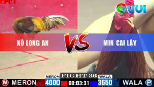 Trận 36 CPC1 3/6/2025 - A.Min Chấp Ngông Hơn 3 Chấm Và Cái Kết Hết Về