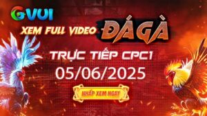 Xem full video đá gà trực tiếp CPC1 ngày 05-06-2025