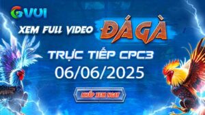 Xem full video đá gà trực tiếp CPC3 ngày 06-06-2025